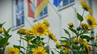 Süper summer in the Doppeldorf