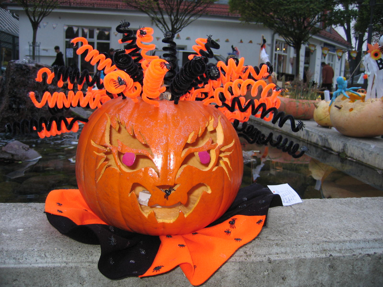 Kürbis zu Halloween